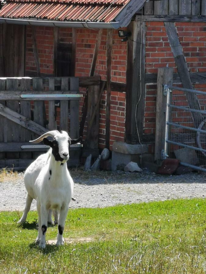 Heuhotel Beim Gnadenhof Murrhardt Eksteriør billede